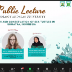 - ILHAM FZ PUTRA