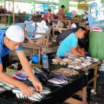 IMG20220323091801 - ILHAM FZ PUTRA