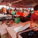IMG20220427112058 - ILHAM FZ PUTRA