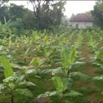 20220519_182825 - cv duaputrabisma