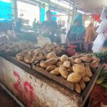 IMG20220604101131 - ILHAM FZ PUTRA