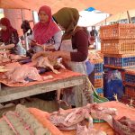 IMG20220803094029 - ILHAM FZ PUTRA