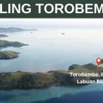 Torobembe