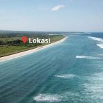 5 (1) land for sale at sumba