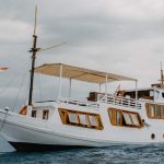 WP-02 labuan bajo holiday