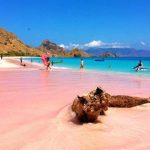PINK-BEACH