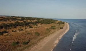 Long Beach Sumba Land for sale at Sumba
