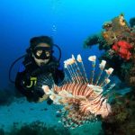 Diving diving labuan bajo