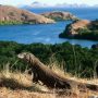 Komodo tetap menjadi magnet utama pariwisata Labuan Bajo